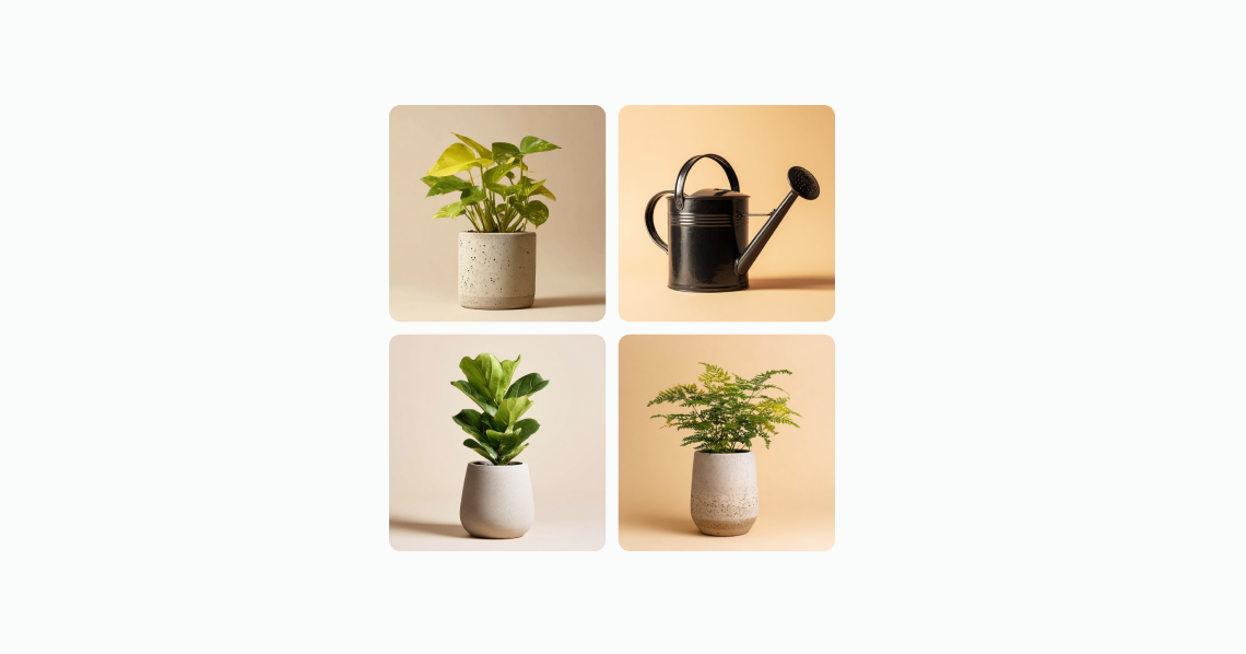 Four plant and garden images in a 2x2 grid: golden pothos, watering can, fiddle leaf fig, and fern.
