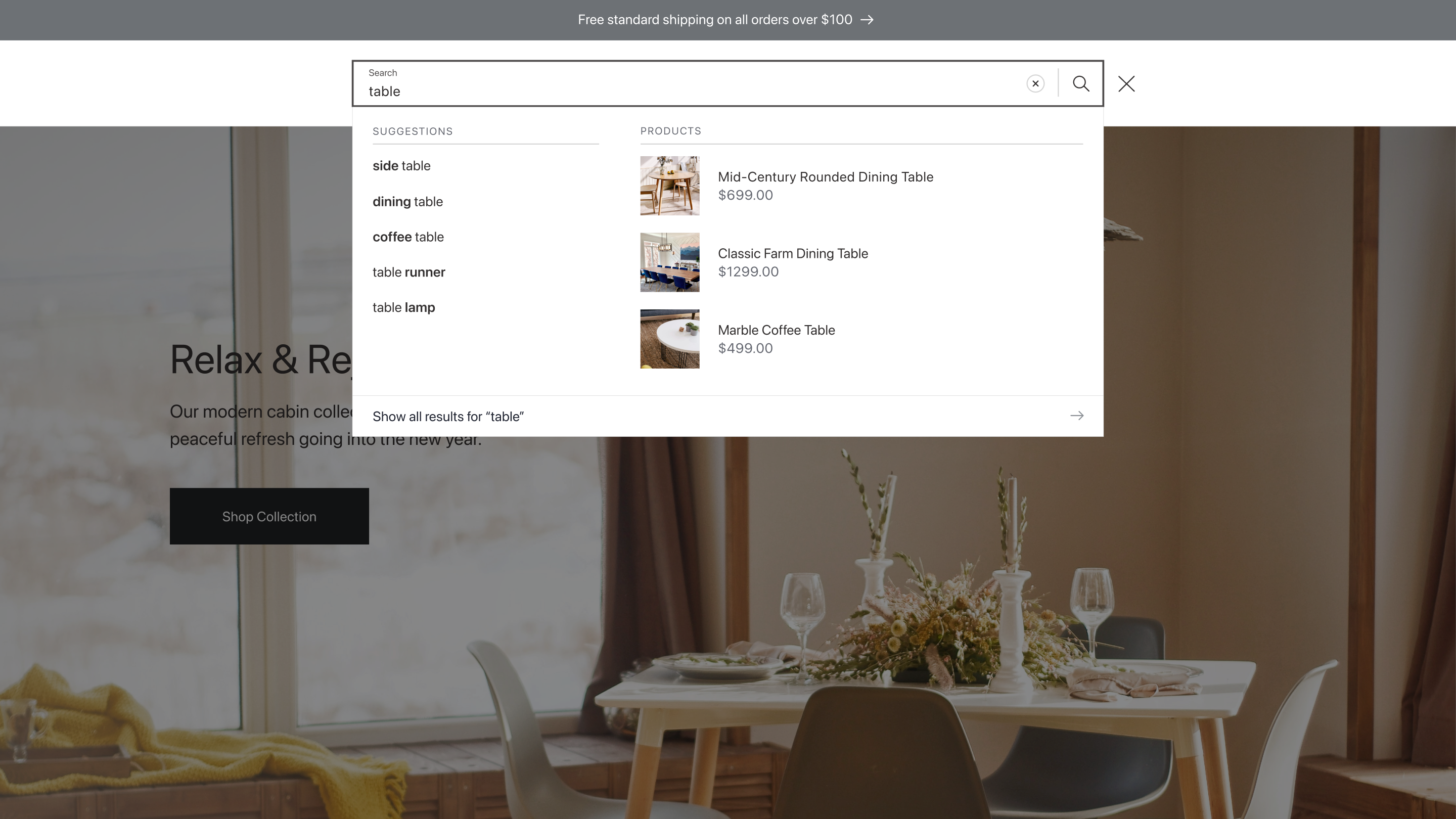 Example of search dropdown showing recommended products
